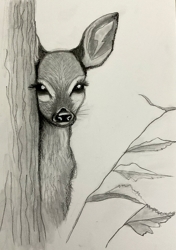 Charcoal Gazelle